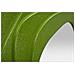 Specchio Con Cornice Vkh477-verde-mdf-90x4x97 Cm - Foto miniatura 5