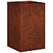 Vaso da giardino Ruggine 30 x 30 x 40 cm Acciaio Corten - Foto miniatura 1