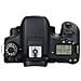 Eos 760d + Ef-s 18-55mm Stm + Ef-s 55-250mm Stm + Borsa Fotografica Professionale - Foto miniatura 3