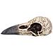Nemesisi Now - Edgar's Raven Skull Figurina 21cm - Foto miniatura 2