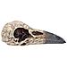 Nemesisi Now - Edgar's Raven Skull Figurina 21cm - Foto miniatura 3