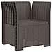 Poltrona a 1 Posto con Cuscino Aspetto Rattan PP Grigio Chiaro - Foto miniatura 2