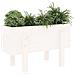 Fioriera Da Giardino Bianca 62x30x38 Cm Legno Massello Di Pino - Foto miniatura 2