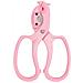 Spogliafiori 2-in-1 E Cesoie Da Potatura - Strumento Per Composizioni Floreali Pink - Foto miniatura 1