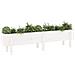Fioriera Rialzata Da Giardino Bianca 160x30x38 Cm Massello Pino - Foto miniatura 2
