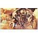 X360 - Final Fantasy XIII - Foto miniatura 3