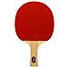 Ping Pong Softyee P900 Pro + Caso 0006808 - Foto miniatura 1