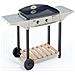 CHPS 600 accessorio per barbecue per l'aperto /grill - Foto miniatura 1