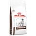 Royal Canin Gastro Intestinal : 15 Kg - Foto miniatura 1
