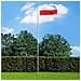 Bandiera Della Polonia 90x150 Cm - Foto miniatura 1