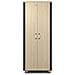 AR4038LIA rack 38U Rack indipendenti Nero, Colore acero - Foto miniatura 1