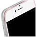 Pellicola In Vetro Temperato Contorni In Titanio Rosa Per Apple Iphone 7 E 8 - Foto miniatura 3