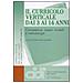 Giancarlo Gambula - Il curricolo verticale dai 3 ai 14 anni. Competenze, saperi, modelli e metodologie - Foto miniatura 1