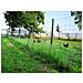 250m, Rete Di Protezione Da Animali Selvatici, Rete Per Zona Boschiva, Rete Pastorale, Rete Annodata 160/15/15 - Foto miniatura 6