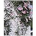 Pergolato Da Giardino 50x150 Cm Pvc Bianco 6040701 - Foto miniatura 4