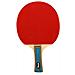Softtee Ping Pongtennis Racket P050 24228 - Foto miniatura 1