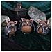 Nemesis Now - Three Wise Bats - Statuetta Da 8,5 Cm - Foto miniatura 3
