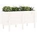Fioriera Rialzata Da Giardino Bianca 121x50x57 Cm Massello Pino - Foto miniatura 2