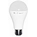 Lampadina E27 Bulbo Led Da 17w Luce Naturale  - Foto miniatura 4