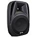 Altoparlante Attivo A 2 Vie Con Mp3 Player Integrato, Connessioni Per Usb, Sd, Bluetooth. 300 Watt Di Picco - Foto miniatura 1
