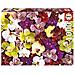 Puzzle Orchidea 1000 Pezzi - Foto miniatura 1