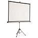 Schermo per Videoproiettore Bianco e Grigio Pvc 4:3 1902395 - Foto miniatura 2