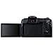 Fotocamera EOS RP + RF 24-105mm + EF-EOS R  - Foto miniatura 10