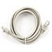 Gembird RJ45 / RJ45 Cat6 1.5m, RJ-45, RJ-45, Maschio / maschio, Cat6, F / UTP (FTP), Bianco - Foto miniatura 2