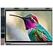 DQ6M8AT laptop Intel Core 5 Computer portatile 35,6 cm (14") WUXGA 16 GB LPDDR5x-SDRAM 512 GB SSD Wi-Fi 7 (802.11be) Windows 11 Pro AI PC Argento - Foto miniatura 15