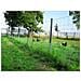 200m, Rete Di Protezione Da Animali Selvatici, Rete Per Zona Boschiva, Rete Pastorale, Rete Annodata 180/16/15 - Foto miniatura 6