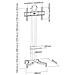 Porta Tv Mobile Per Monitor Tv 37-70"", Topline-02s - Foto miniatura 3