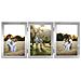 00193117 Cornice Per Quadro Argento Cornice Per Foto Multipla - Foto miniatura 1
