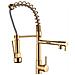 Miscelatore per lavello da cucina, Blackswan, tipo M118 con 2 modalità, oro lucido, 47 cm - Foto miniatura 1
