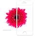 99MO075002 Ivisor Glass - Pellicola Protettiva In Vetro Ultrasottile Per Iphone 5/5s / 5c / Se - Bianco - Foto miniatura 6