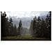 Hunting Simulator 2 Jeu Nintendo Switch - Foto miniatura 2