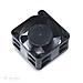 Black Case Fan, Nero, 40 x 40 x 20 mm, Sleeve Bearing, 12V, 3-pin - Foto miniatura 1