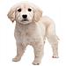 gs + Cats: Golden Retriever, 3DS Basico 3DS Francese videogioco - Foto miniatura 8