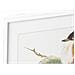Quadro Dkd Home Decor 60 X 2,5 X 60 Cm Uccello Shabby Chic (4 Pezzi) - Foto miniatura 2