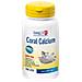 Coral Calcium 100cps Phoeni - Foto miniatura 1