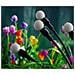 Luci Solari Da Giardino 10 Led Ip65 8 Modalità Bianco Caldo 4 Pezzi - Foto miniatura 4