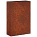 Vaso da giardino Ruggine 40 x 20 x 75 cm Acciaio Corten - Foto miniatura 1