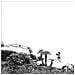 Cd Timber Timbre - Hot Dreams - Foto miniatura 1