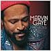 Marvin Gaye - Collected (2 Lp)  - Foto miniatura 1