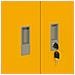 Armadio Giallo senape 60 x 40 x 40 cm Acciaio - Foto miniatura 9