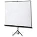 Schermo a Cavalletto Standard Junior 155x155 Tela Bianca Lenticolare con Tenditore - Foto miniatura 2