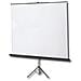 Schermo a Cavalletto Standard Junior 155x155 Tela Bianca Lenticolare con Tenditore - Foto miniatura 5