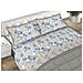 Completo Lenzuola Letto Matrimoniale 100% Cotone Made Italy Dis. Lara Cn 2 Piazze Azzurro - Foto miniatura 1