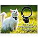 Mini Telecamera Portatile Full Hd 1080p, Cani E Gatti Visione Notturna A Infrarossi, Registrazione Su Sd, Collare Regolabile A Strappo (campet1) - Foto miniatura 1