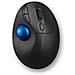 Pro Fit Ergo TB450 mouse Mano destra RF senza fili + Bluetooth Trackball 1600 DPI - Foto miniatura 1