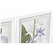 Quadro Dkd Home Decor 40 X 2 X 54 Cm Fiori Shabby Chic (6 Pezzi) - Foto miniatura 2